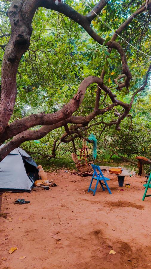 Auberge de jeunesse Peace Garden à Auroville Extérieur photo